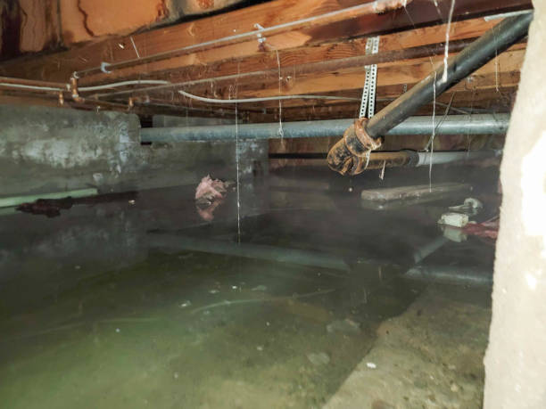 Best Commercial water damage restoration  in Swartzville, PA