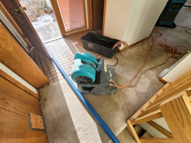 Best Ceiling water damage repair  in Swartzville, PA