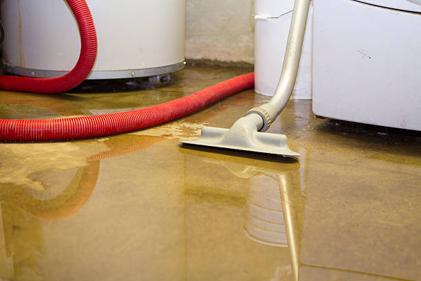 Best Ceiling water damage repair  in Swartzville, PA