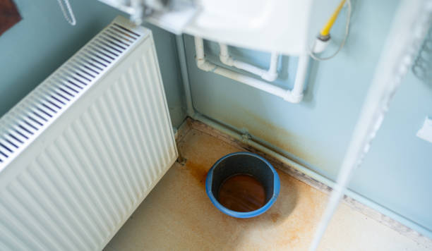 Best Local water damage restoration  in Swartzville, PA