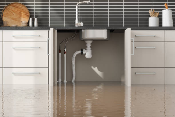 Best Flood restoration services  in Swartzville, PA