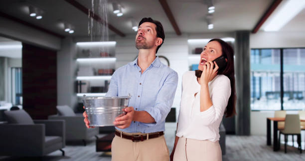 Best 24-hour water damage restoration  in Swartzville, PA