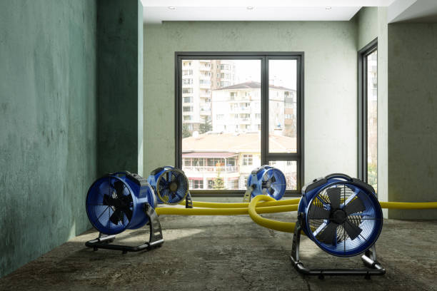 Best Professional water damage repair  in Swartzville, PA